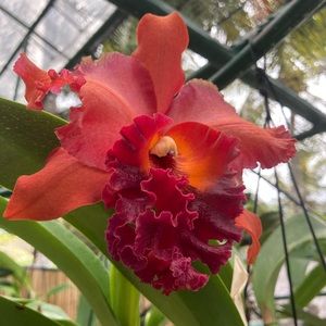 Meet your Posher, Lindsey